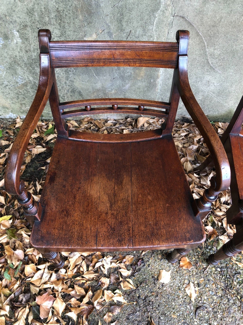 Pair of Regency Chairs View VI