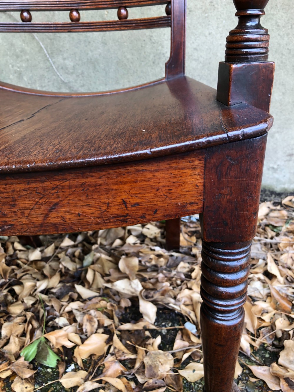 Pair of Regency Chairs View VII