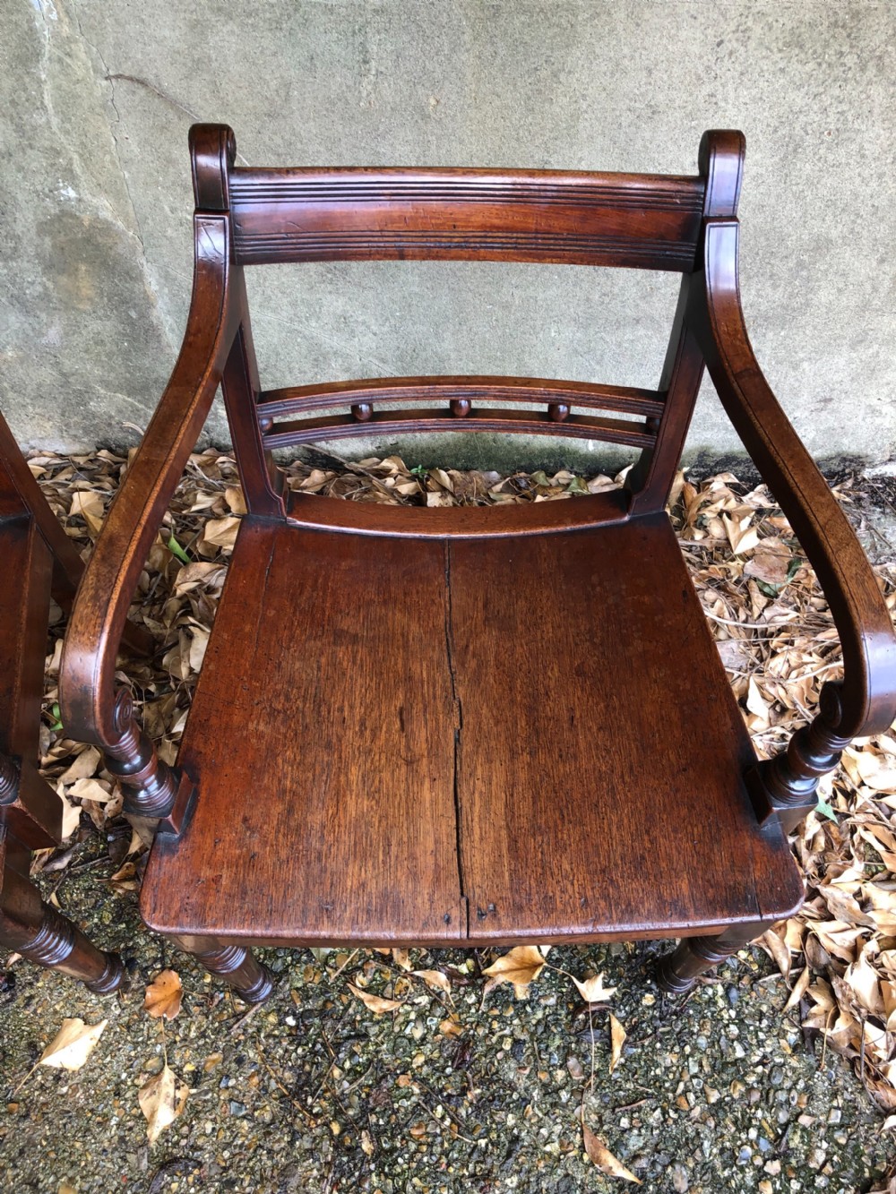 Pair of Regency Chairs View VIII
