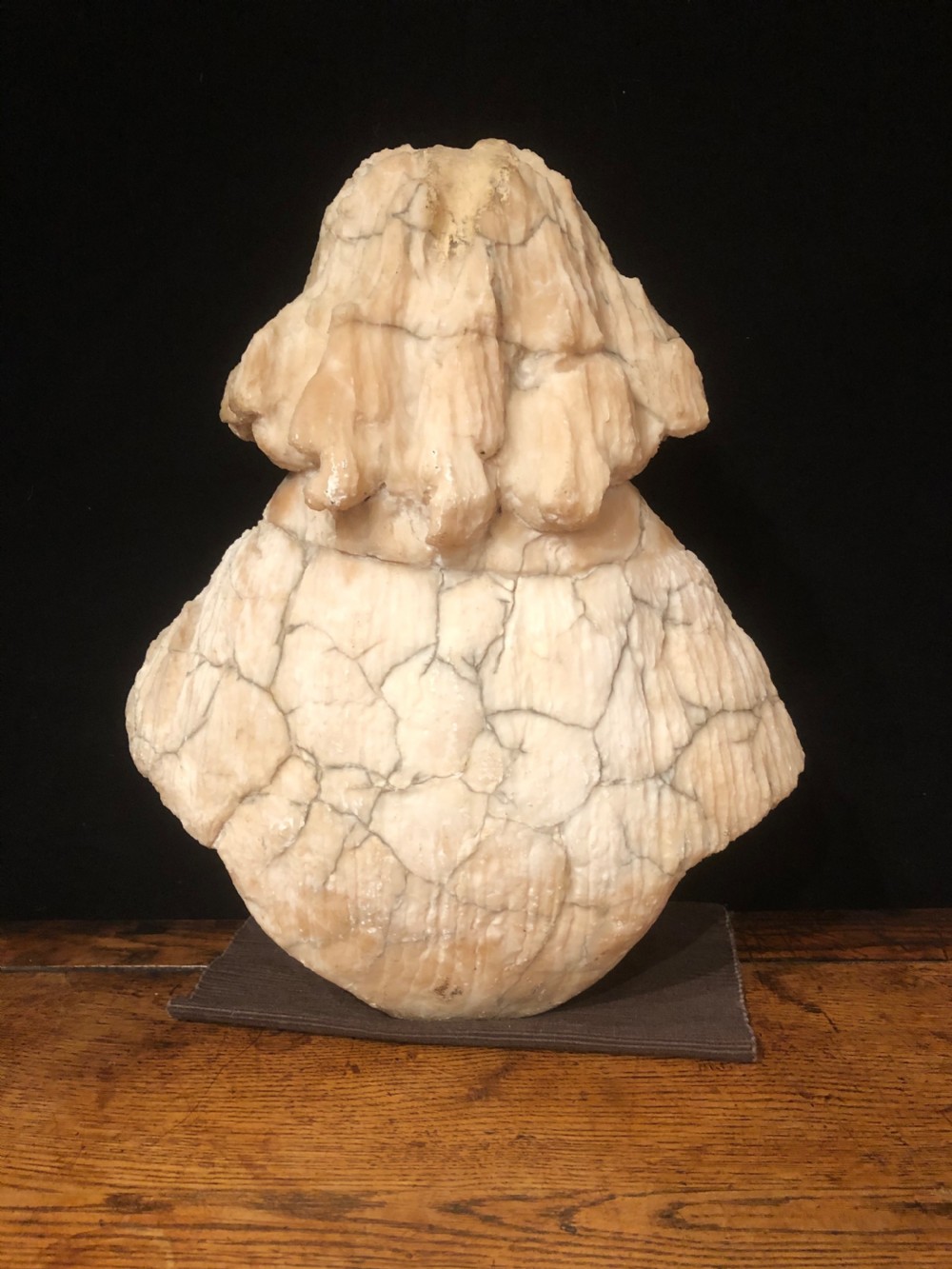 Antique Alabaster Bust View IX