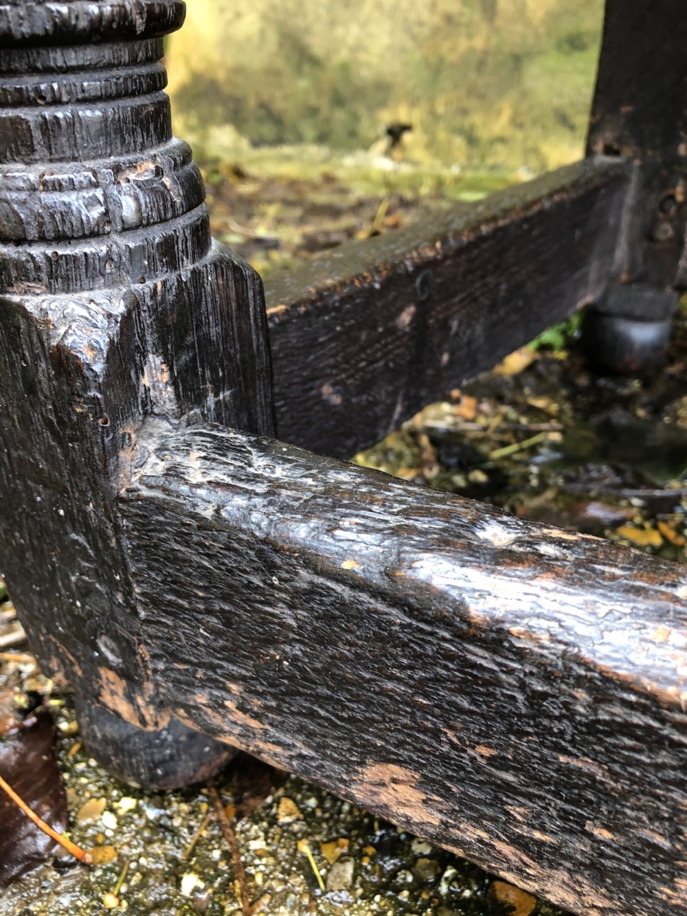 Early Oak Wainscot Chair View XIV