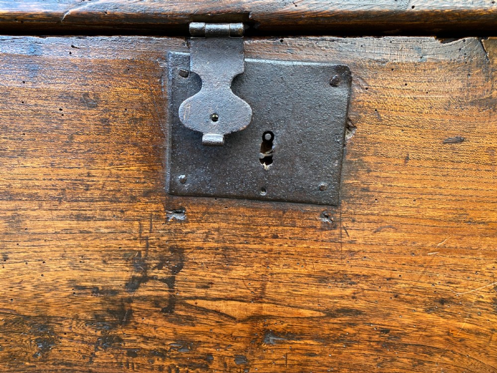 Elm Coffer View VIII