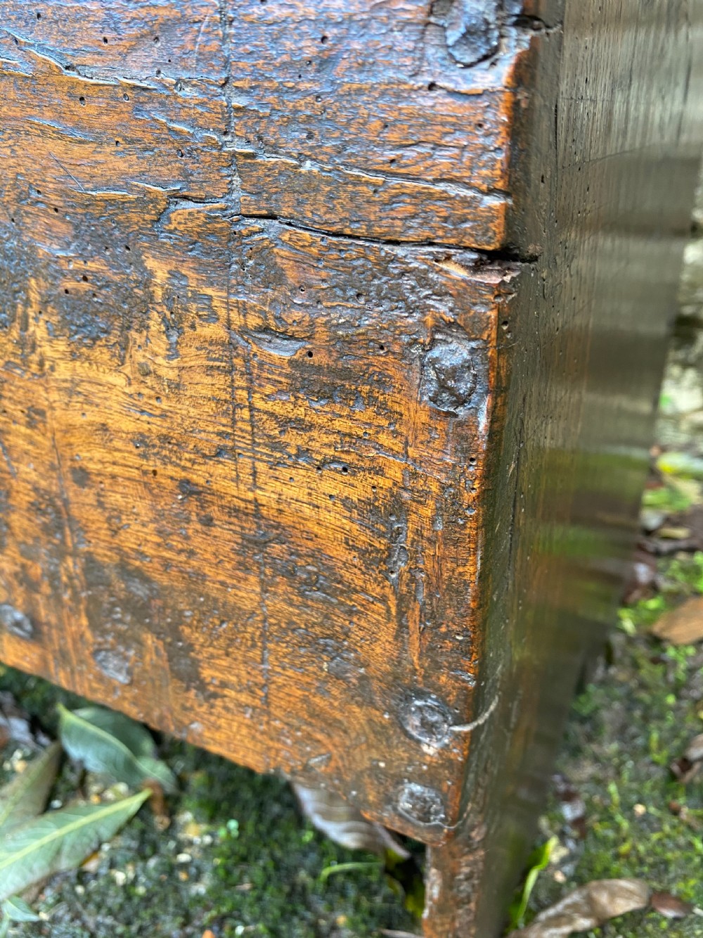 Elm Coffer View X
