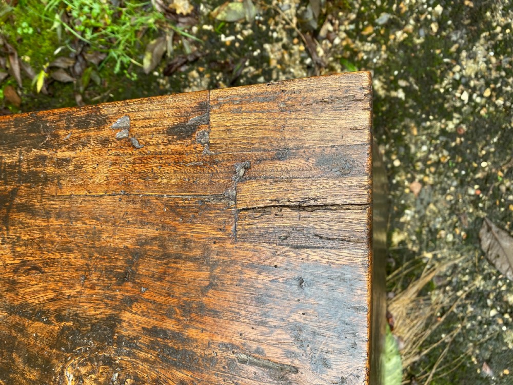 Elm Coffer View XI