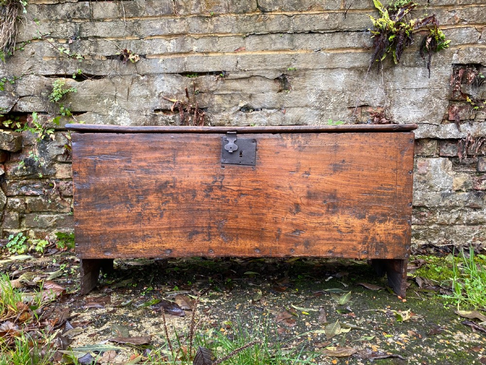 Elm Coffer View XII