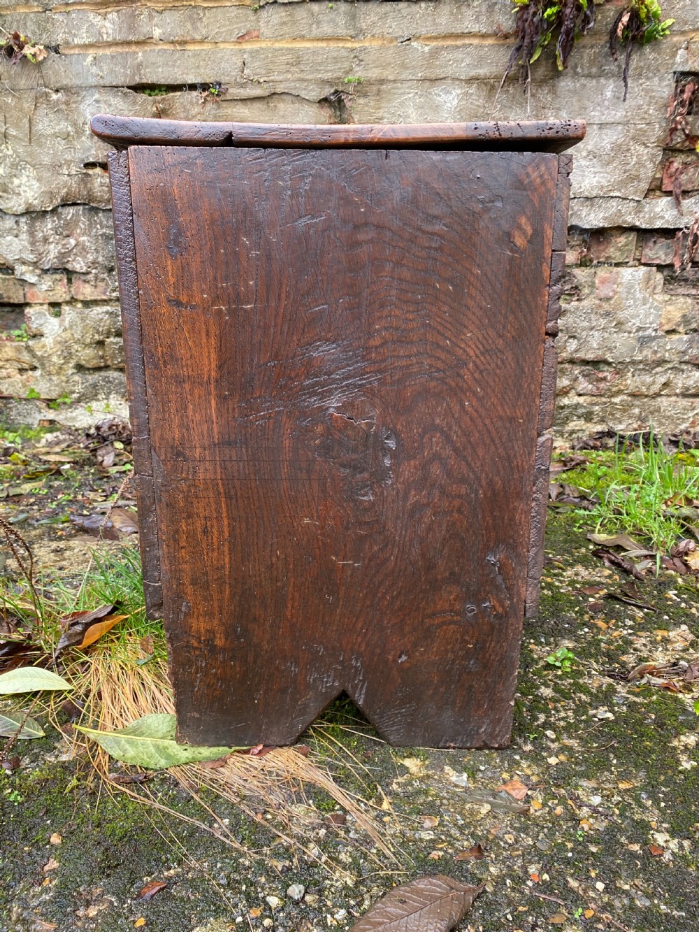 Elm Coffer View XIII