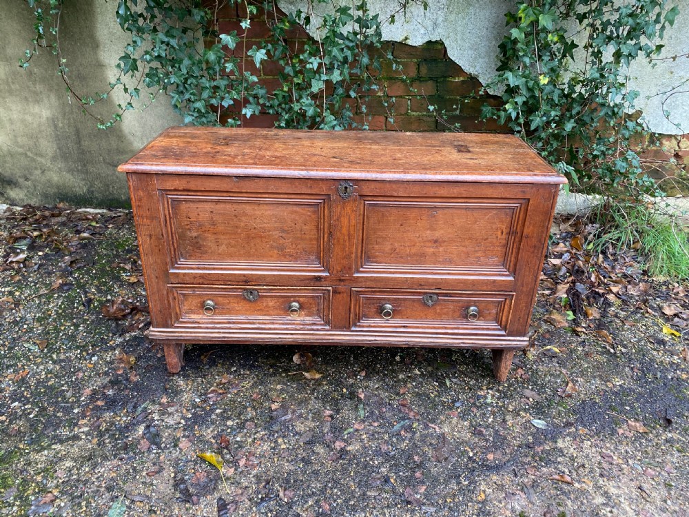 Antique Mule Chest View II
