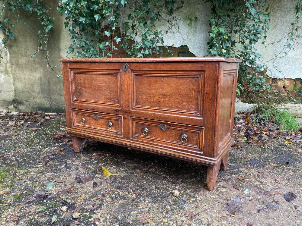 Antique Mule Chest View III