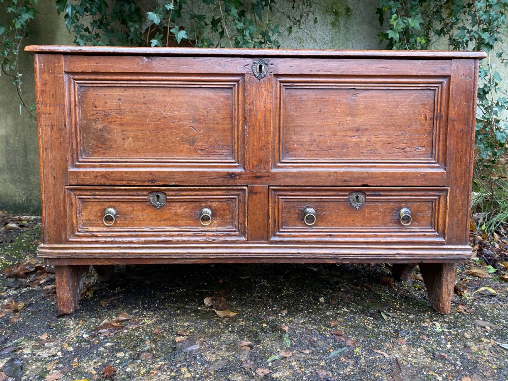 Antique Mule Chest View IV