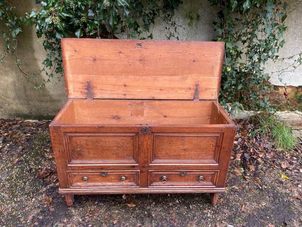 Antique Mule Chest View VI