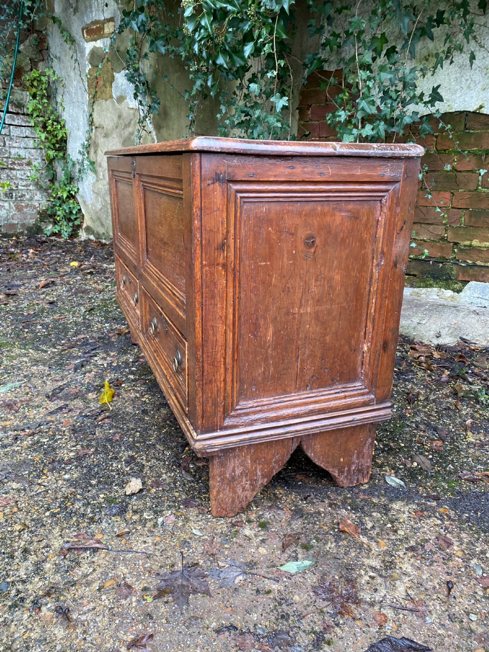 Antique Mule Chest View IX