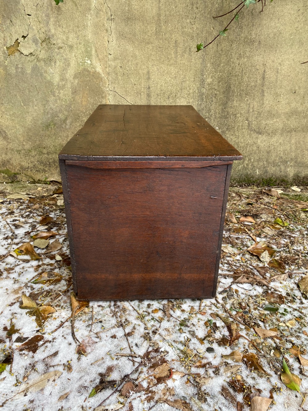 Early Oak Maritime Box View VI
