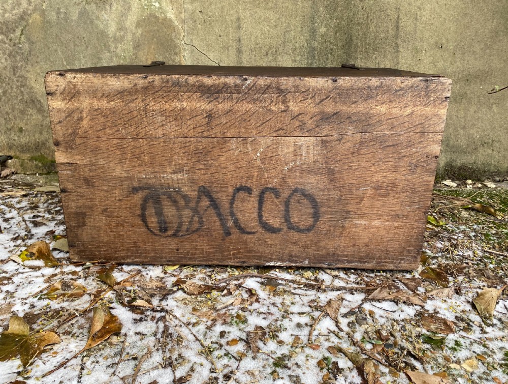 Early Oak Maritime Box View VIII