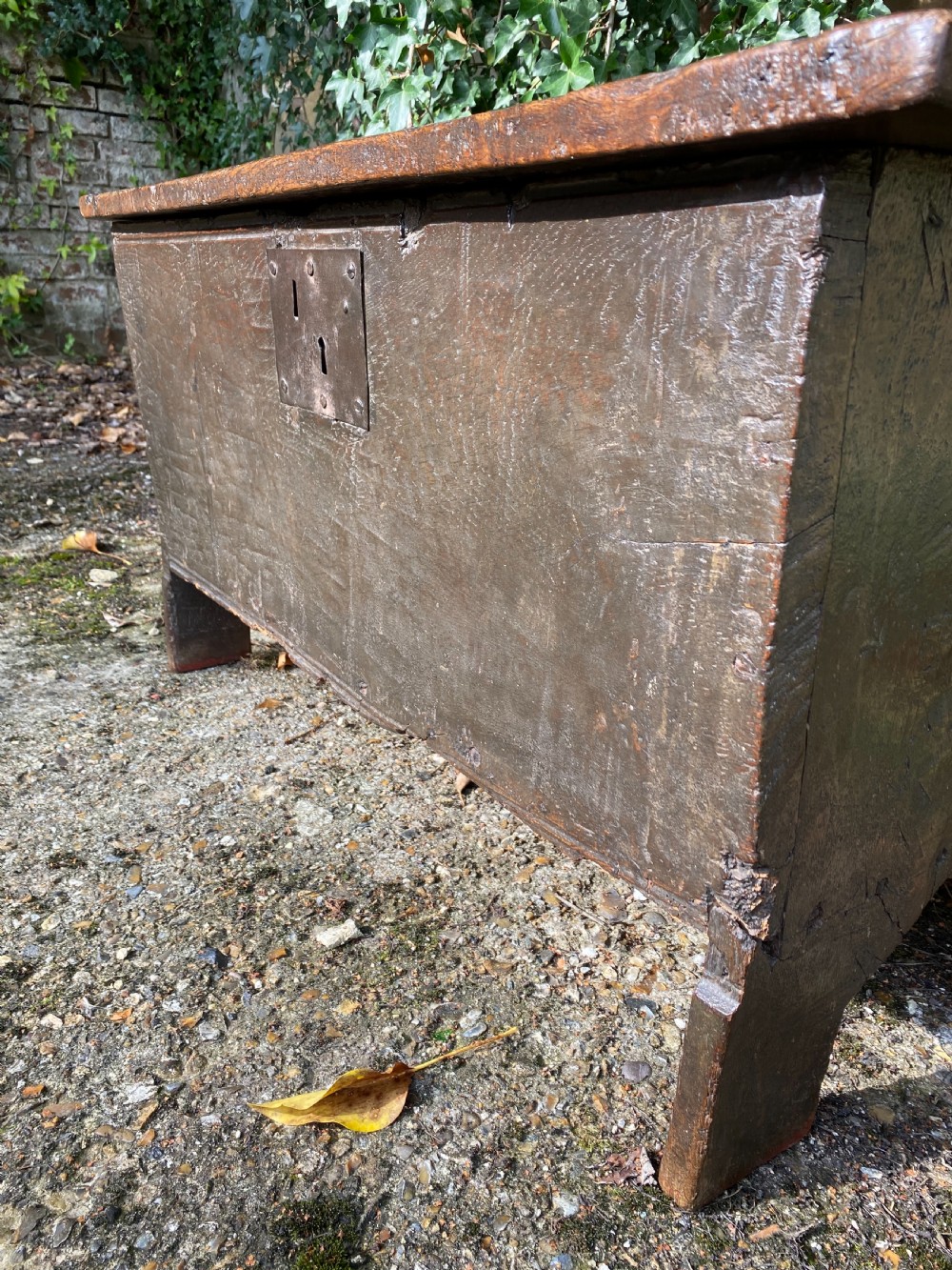 Early Oak Coffer View VII