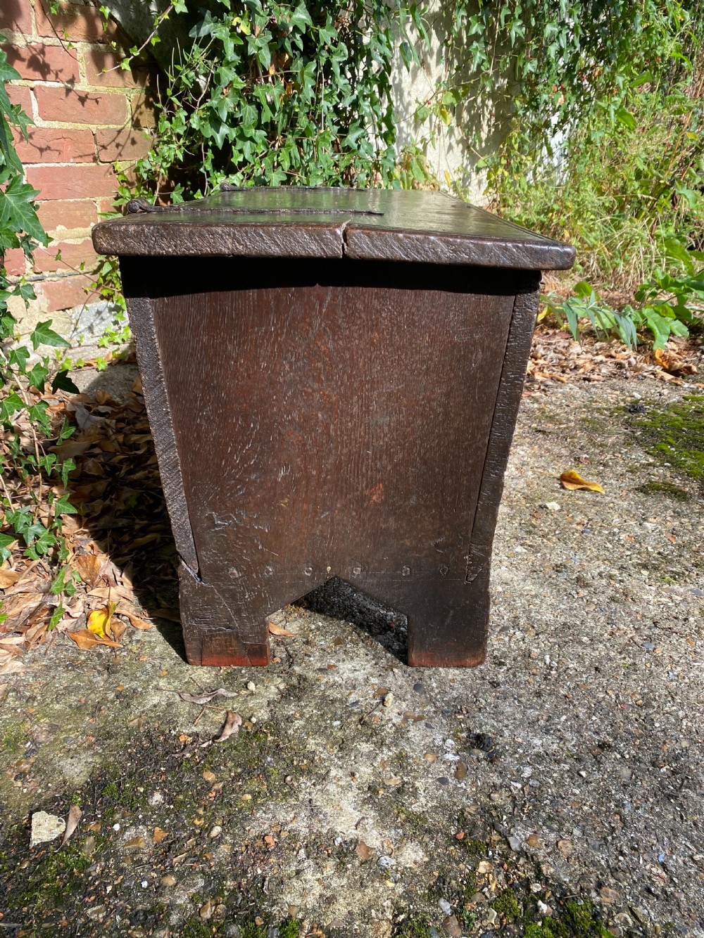 Early Oak Coffer View XII