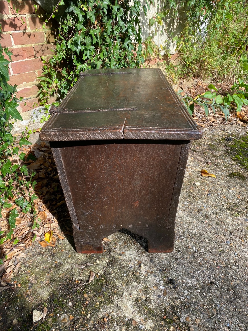 Early Oak Coffer View XIII