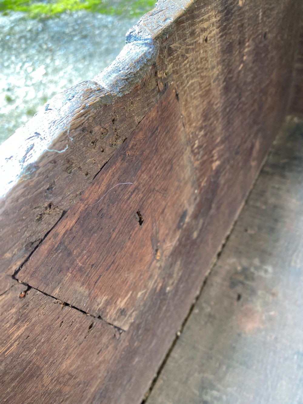 Early Oak Coffer View XIX
