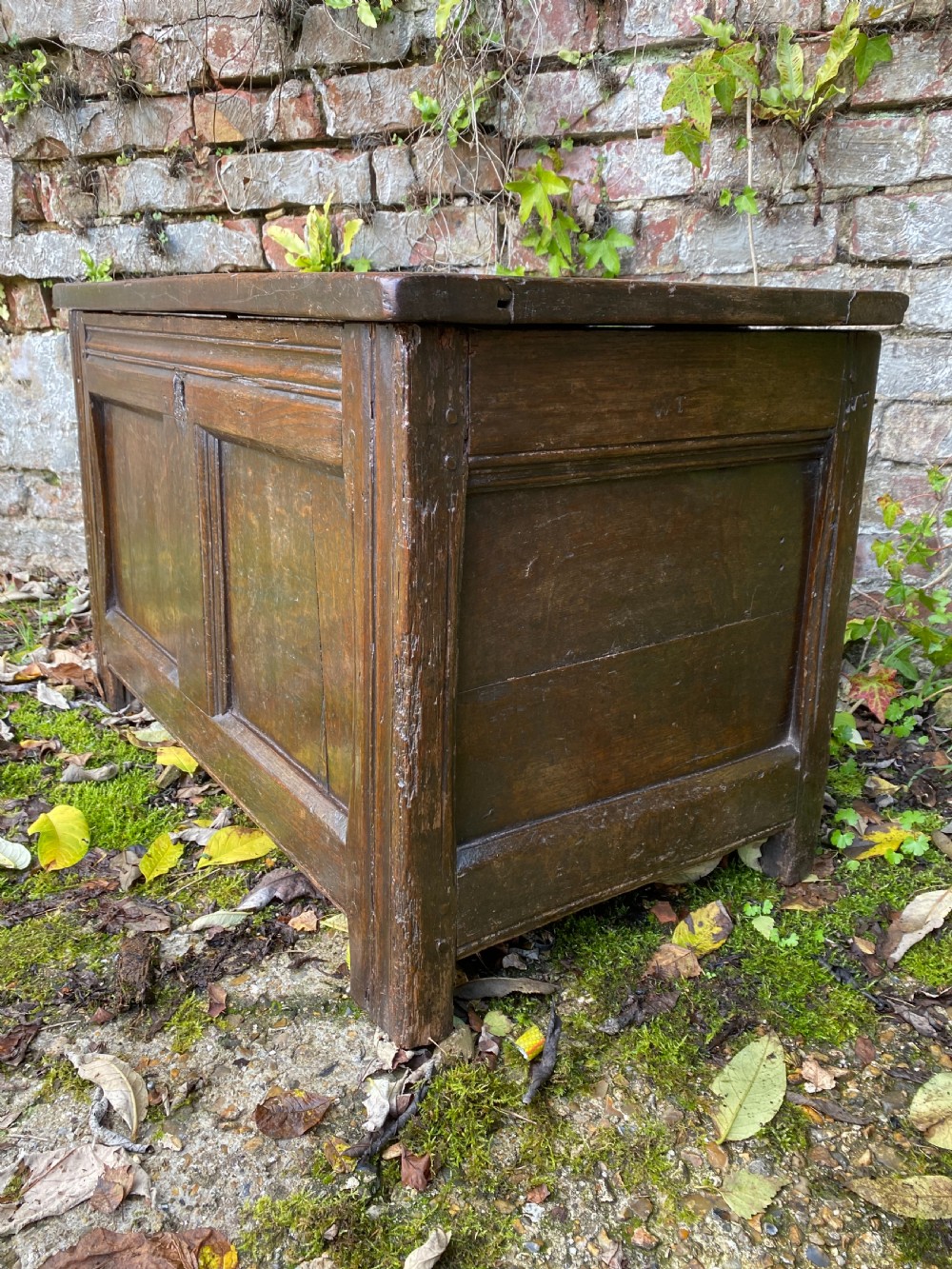 Small Oak Coffer View III