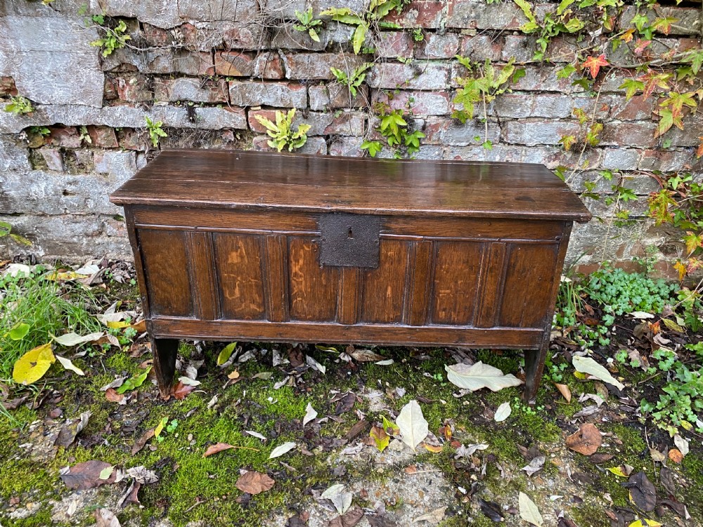 17th century oak coffer View III