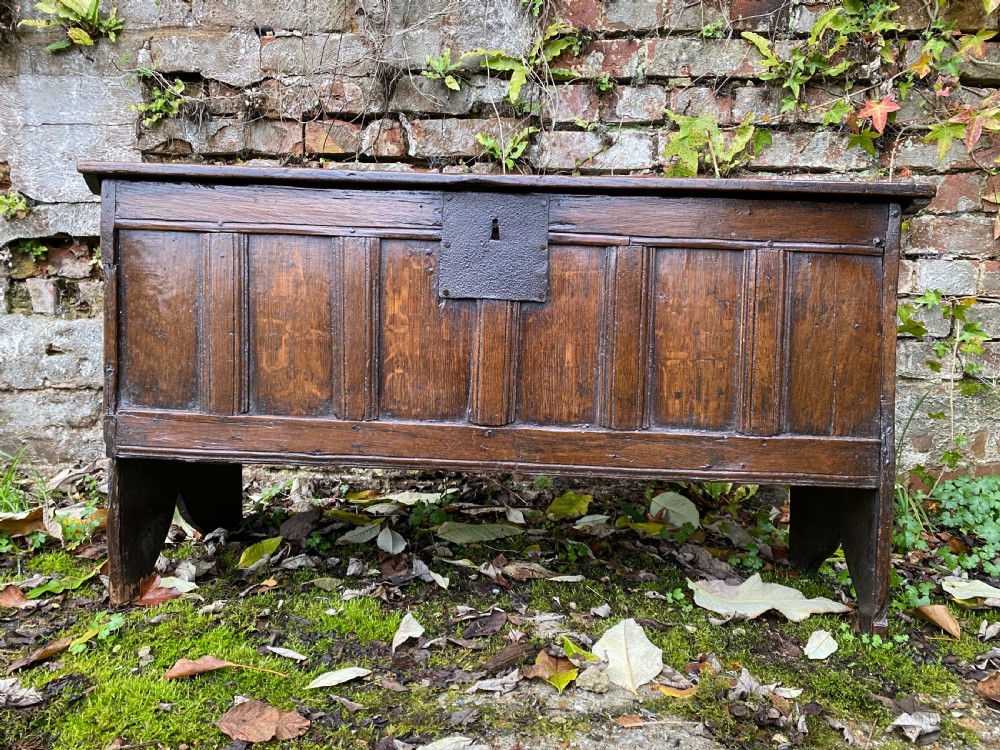 17th century oak coffer View VI