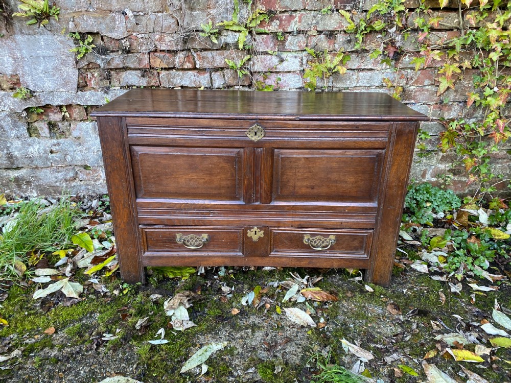 Oak Mule Chest View II