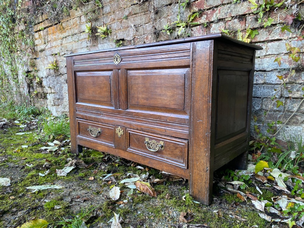 Oak Mule Chest View III
