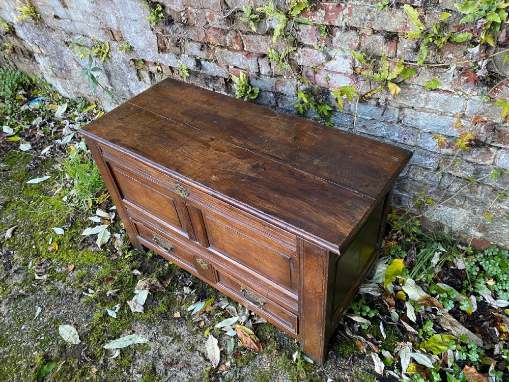 Oak Mule Chest View IV