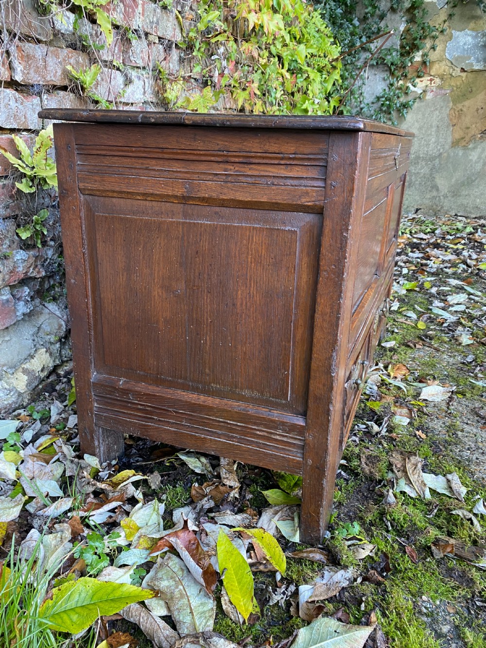 Oak Mule Chest View VII