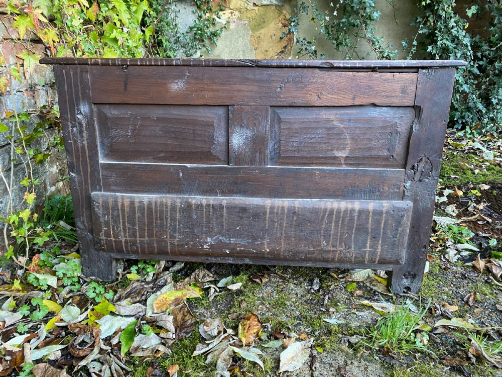 Oak Mule Chest View VIII