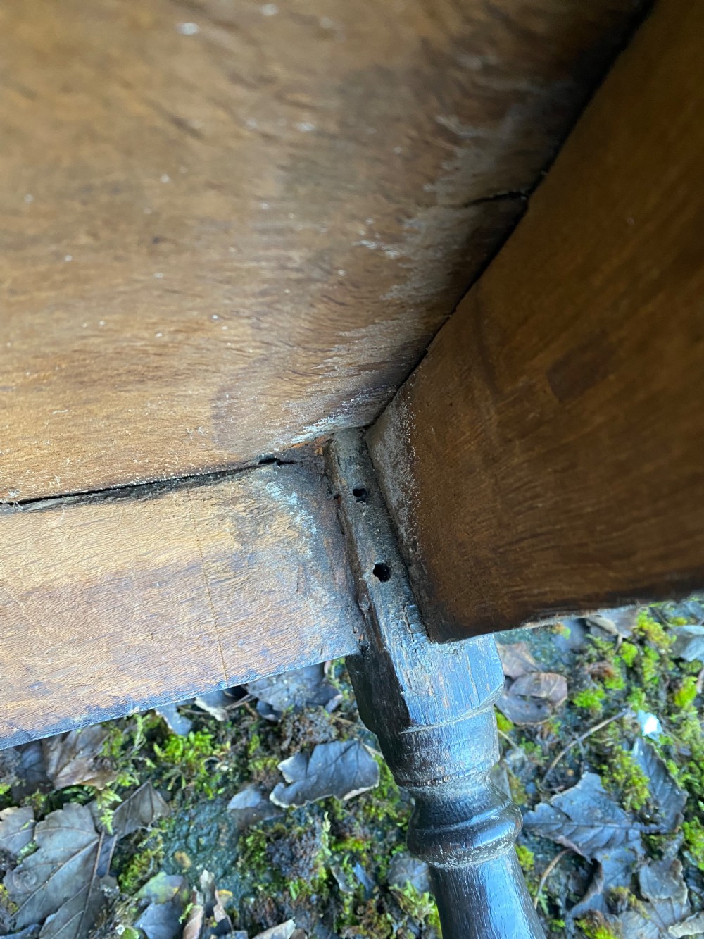 Early Oak Wainscot Chair View XXIV