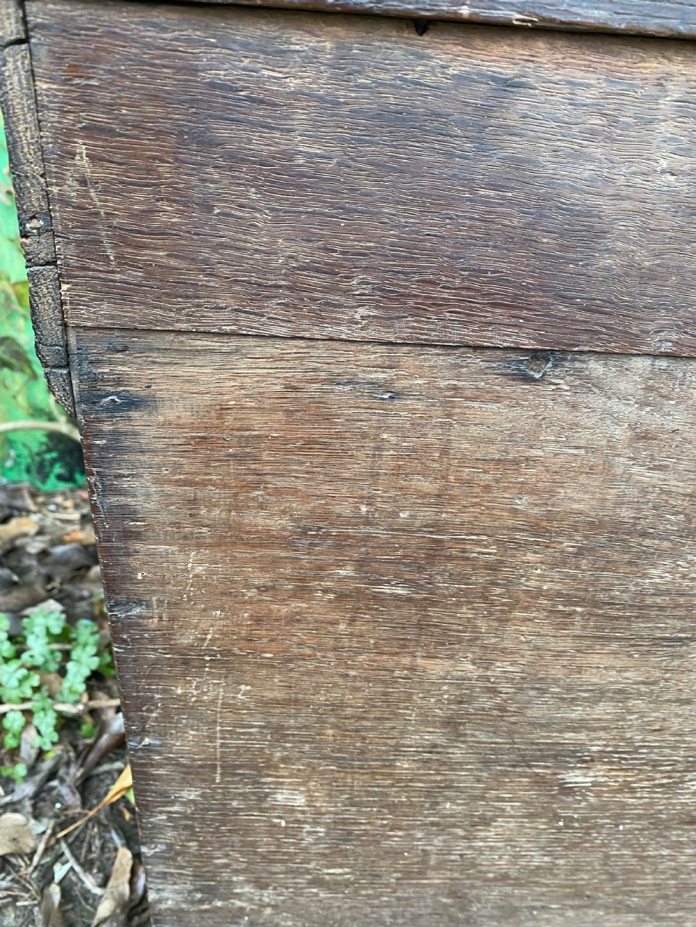Early Oak Box View XIV
