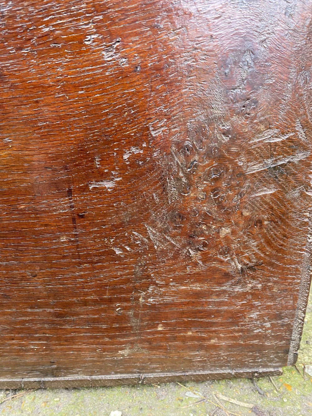 Early Oak Box View XVII