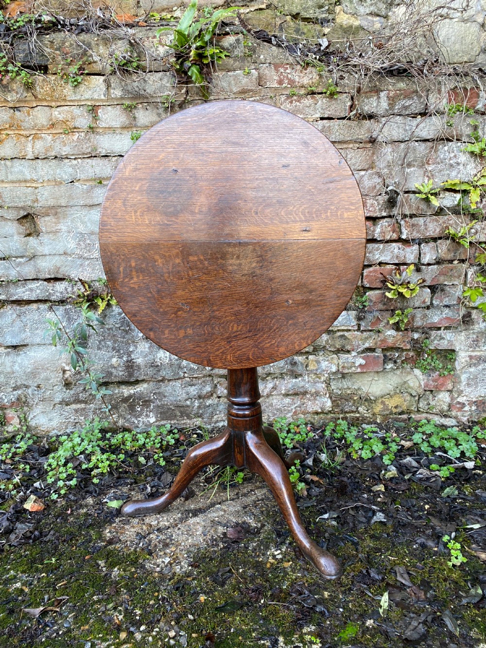 Georgian tilt top Table View III
