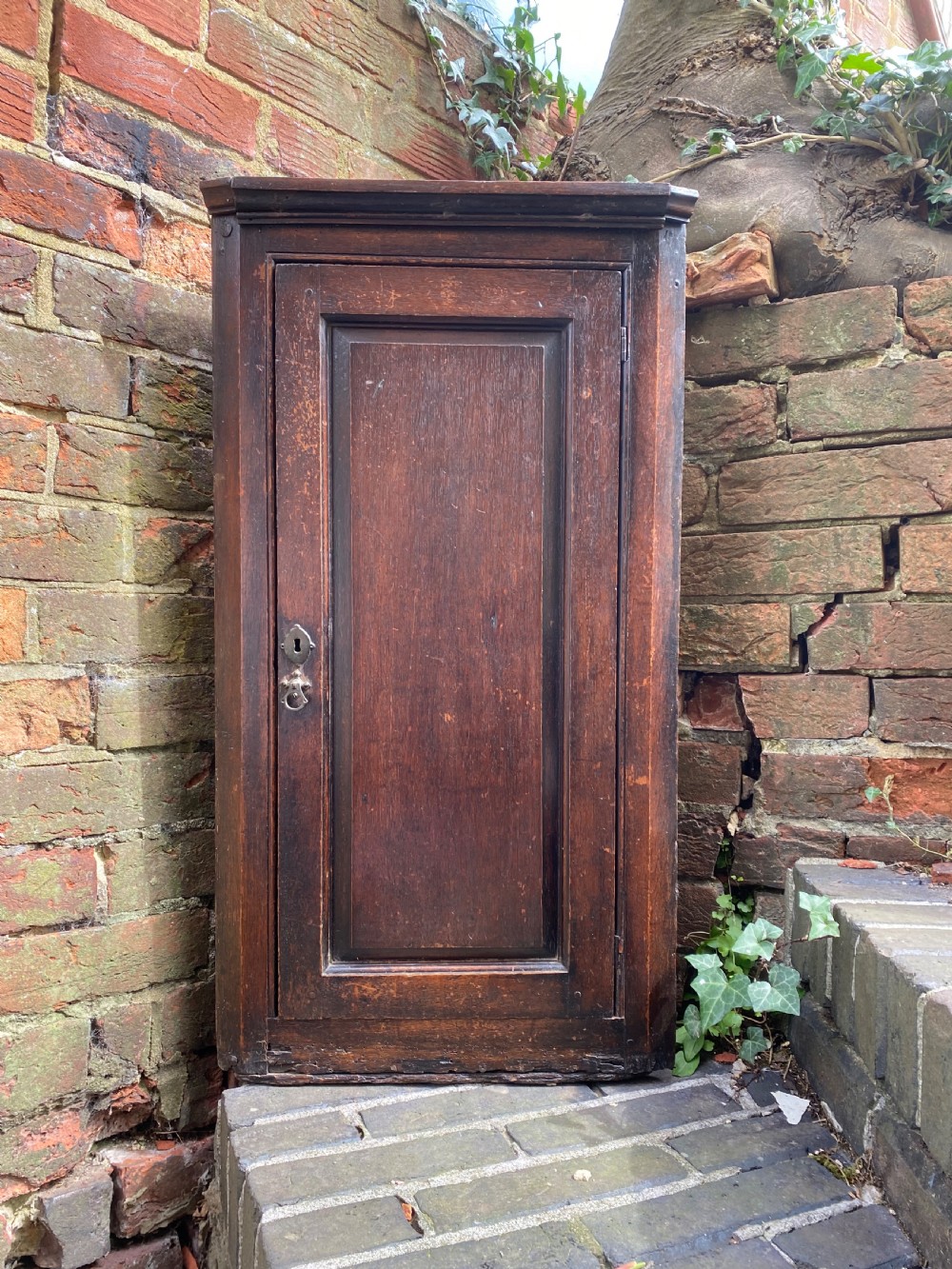 Antique Oak Corner Cupboard 