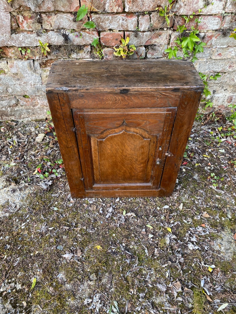 Early wall Cupboard  View IV