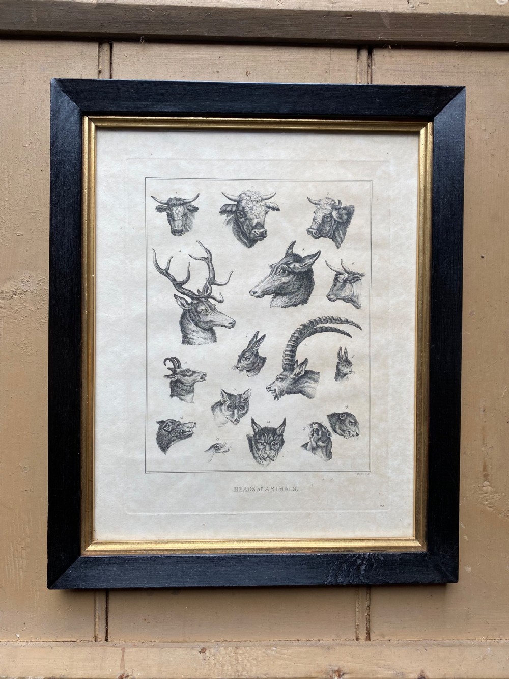 Pair of Georgian Etchings  View II