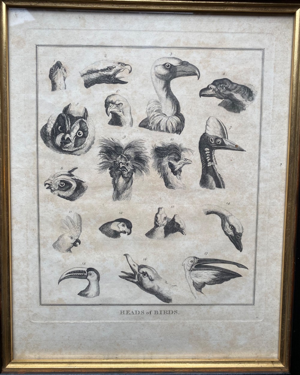Pair of Georgian Etchings  View IV