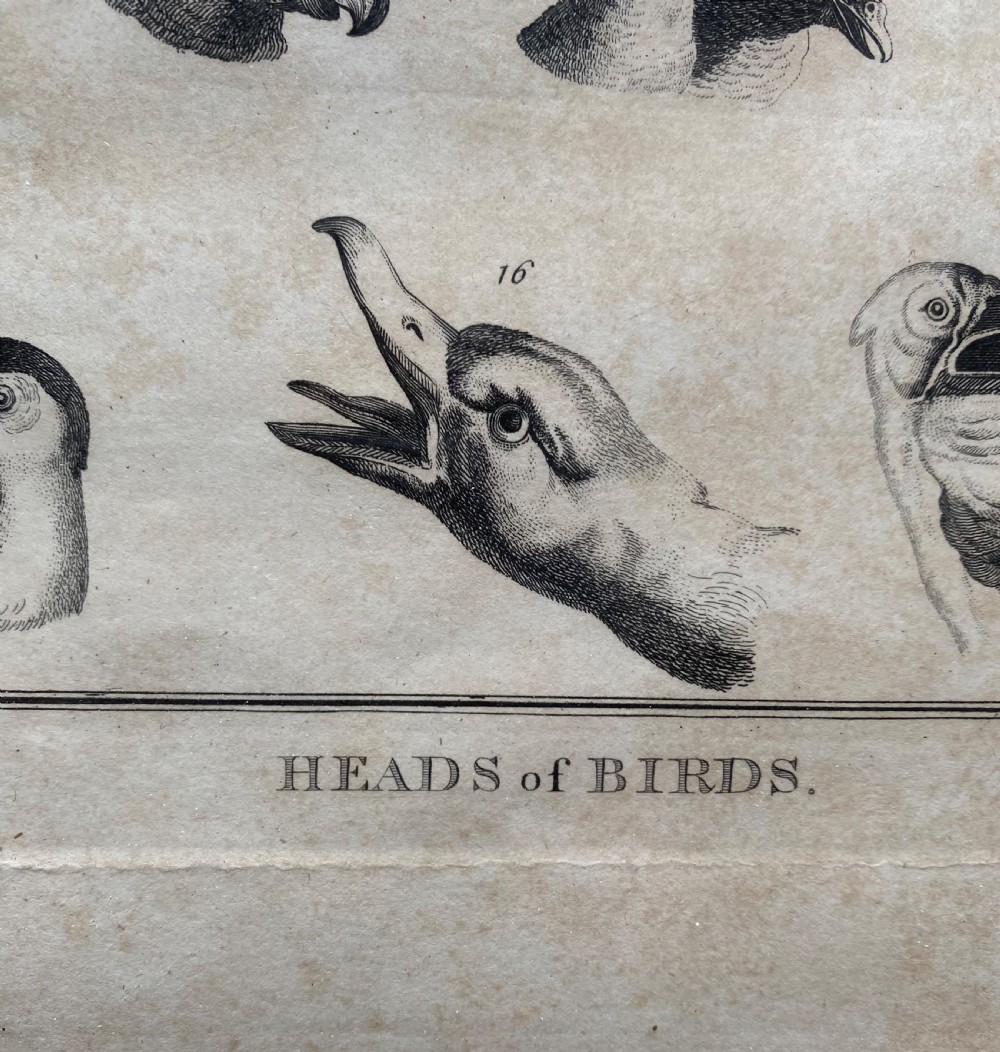 Pair of Georgian Etchings  View VI