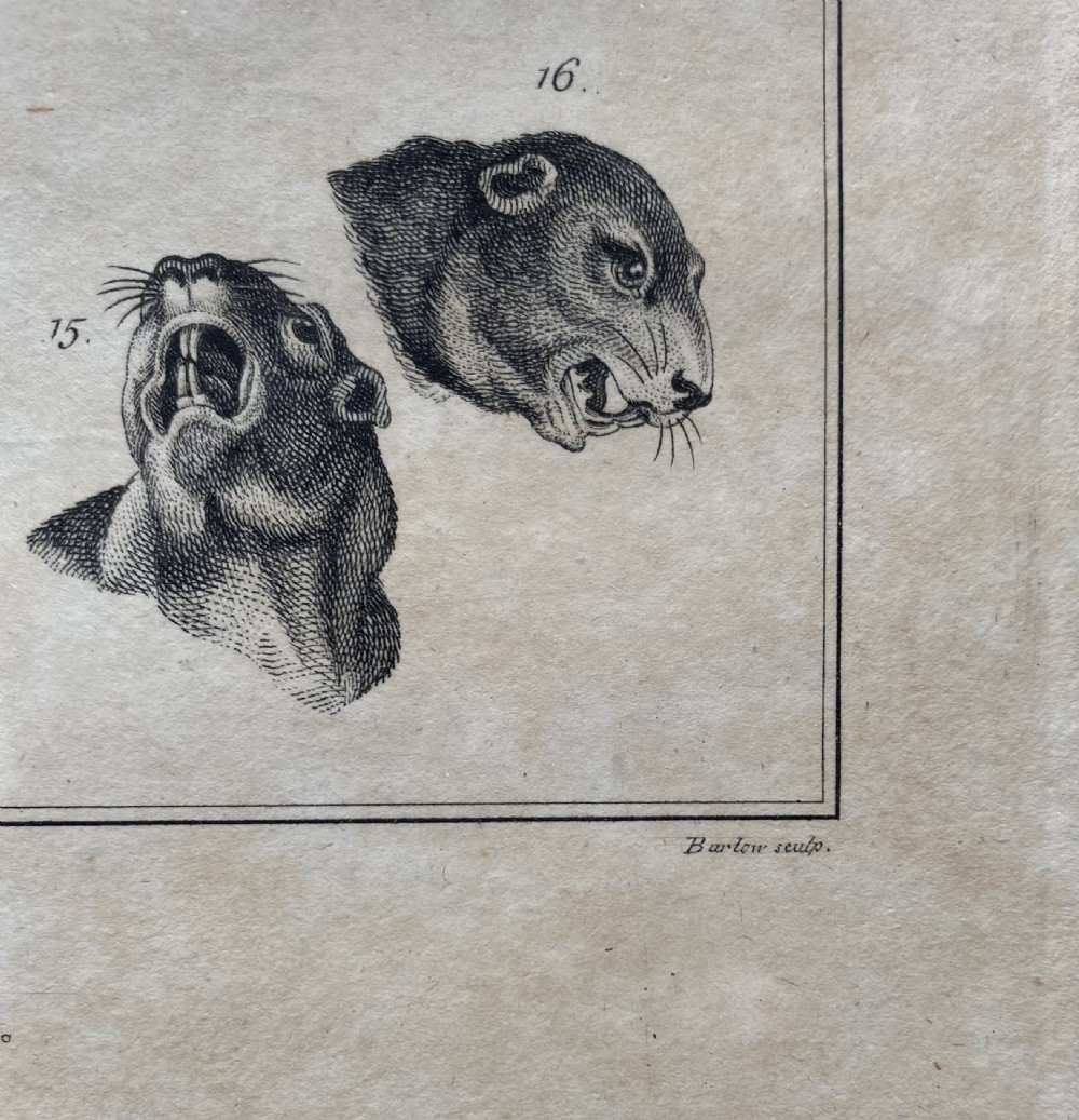 Pair of Georgian Etchings  View VIII