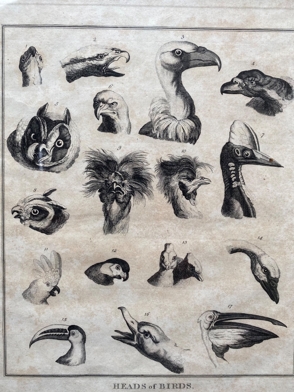 Pair of Georgian Etchings  View IX