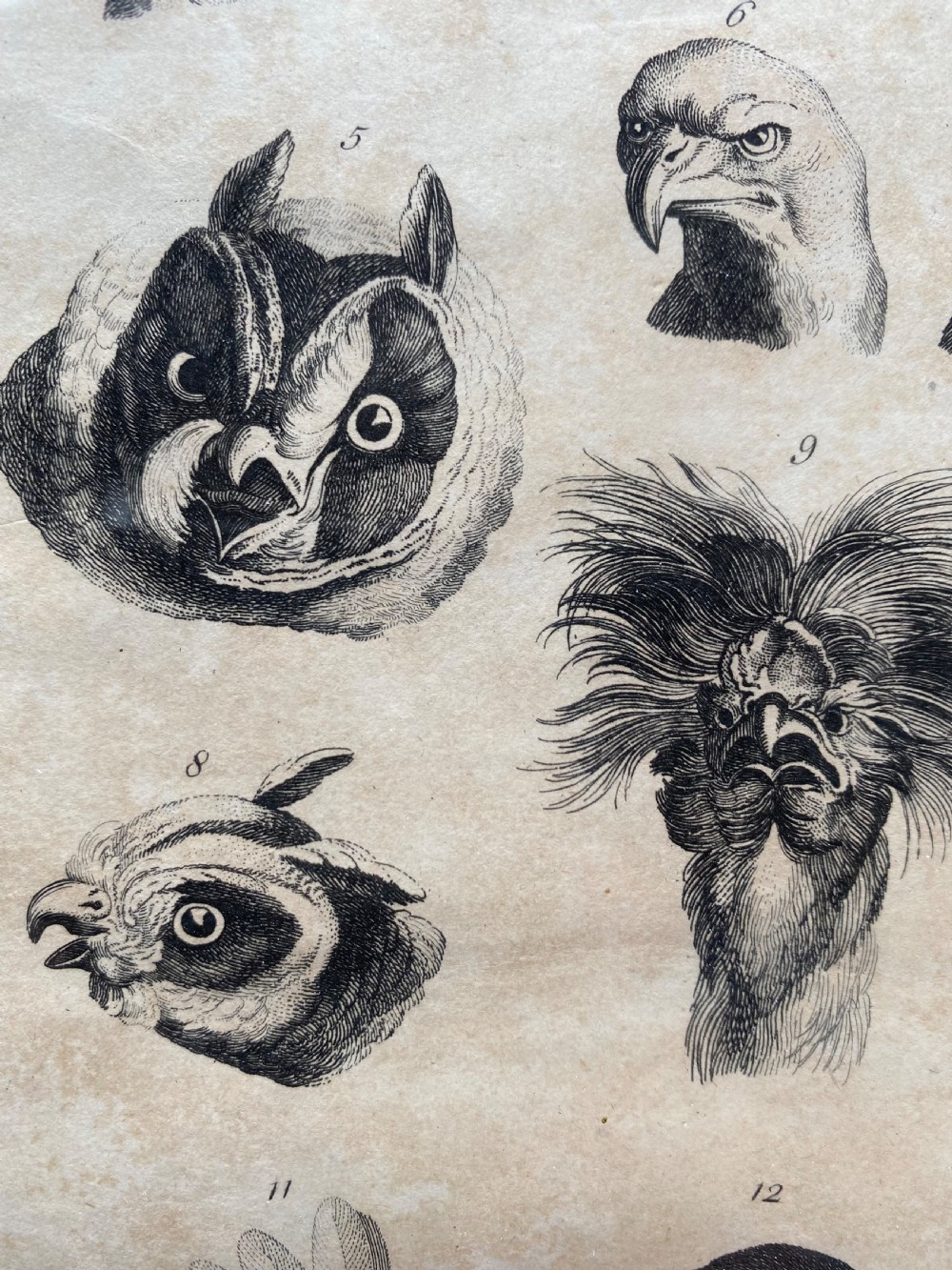 Pair of Georgian Etchings  View XIII