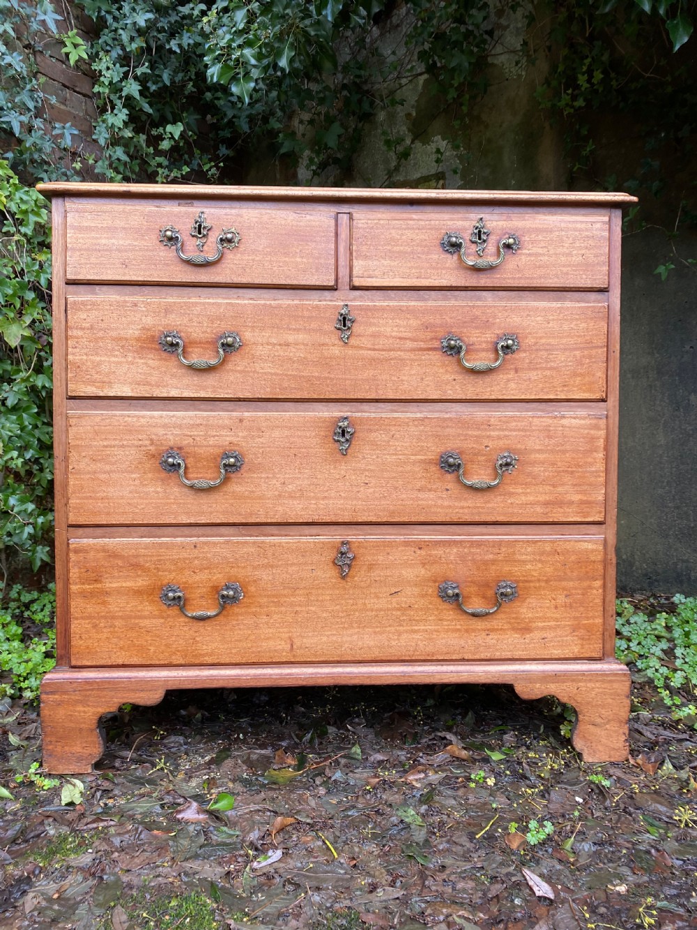 Chest of Drawers  View II