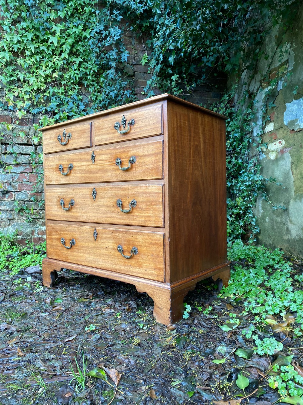 Chest of Drawers  View III