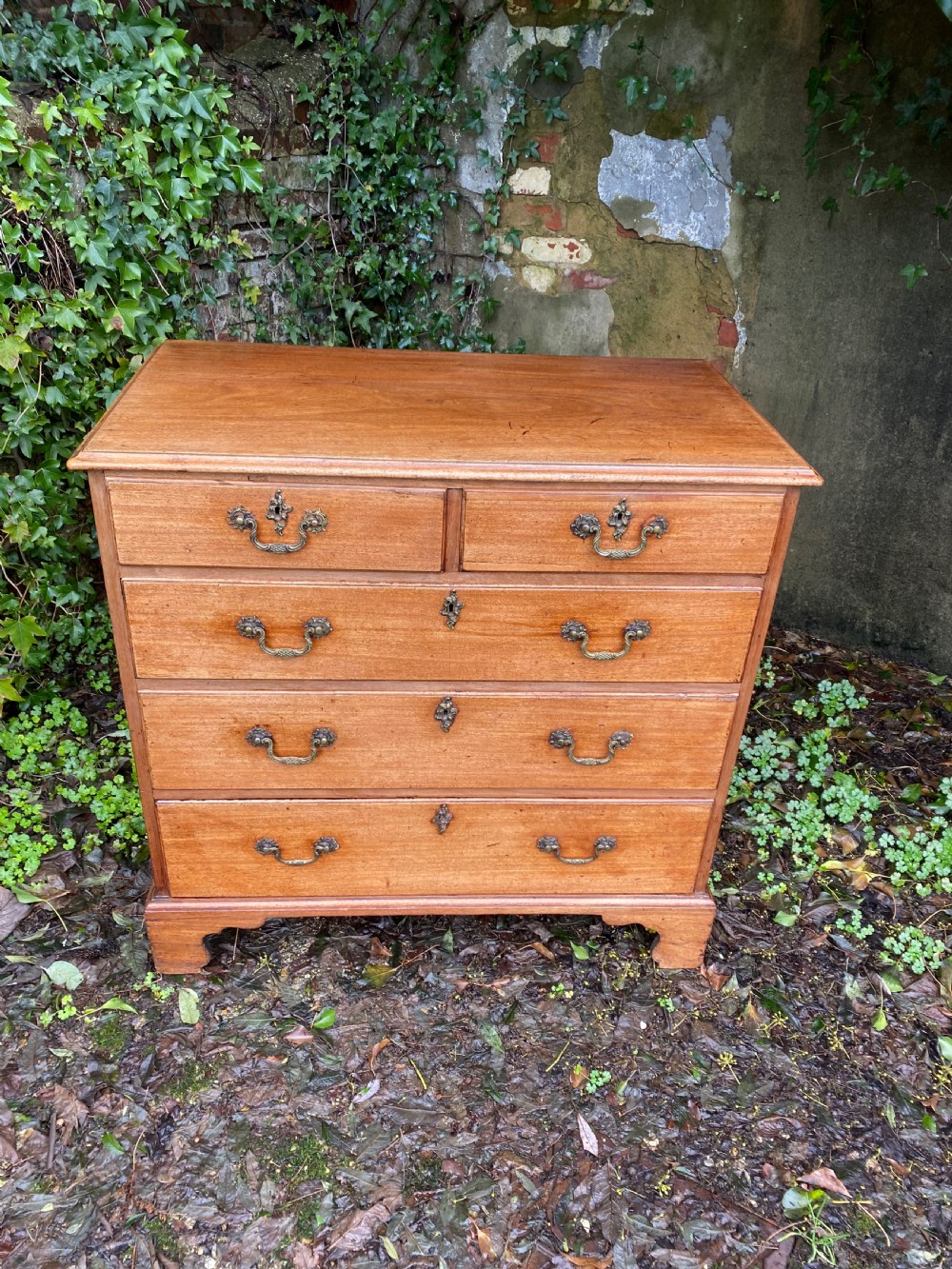 Chest of Drawers  View IV