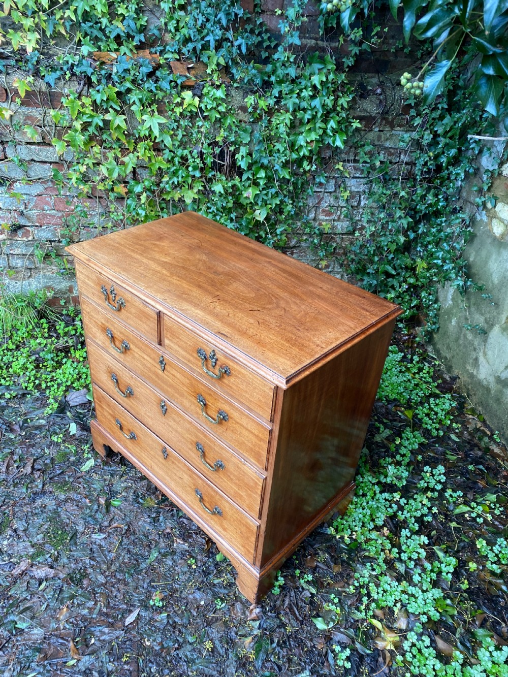 Chest of Drawers  View V