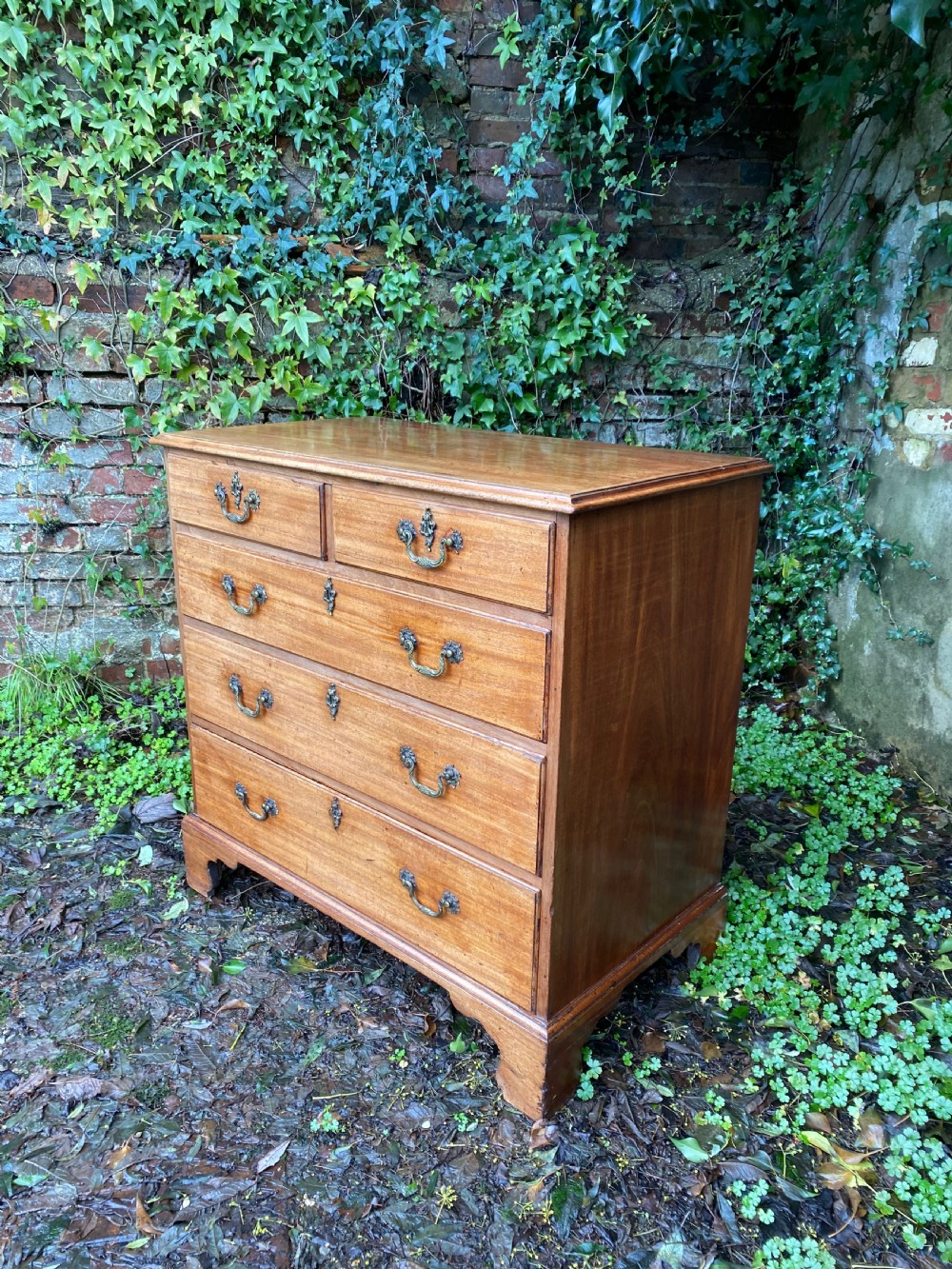Chest of Drawers  View VI