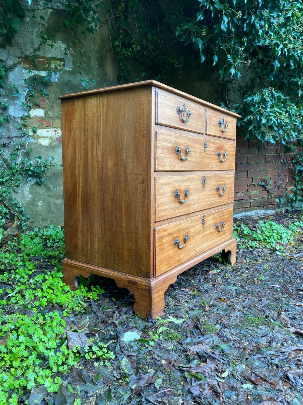 Chest of Drawers  View VII