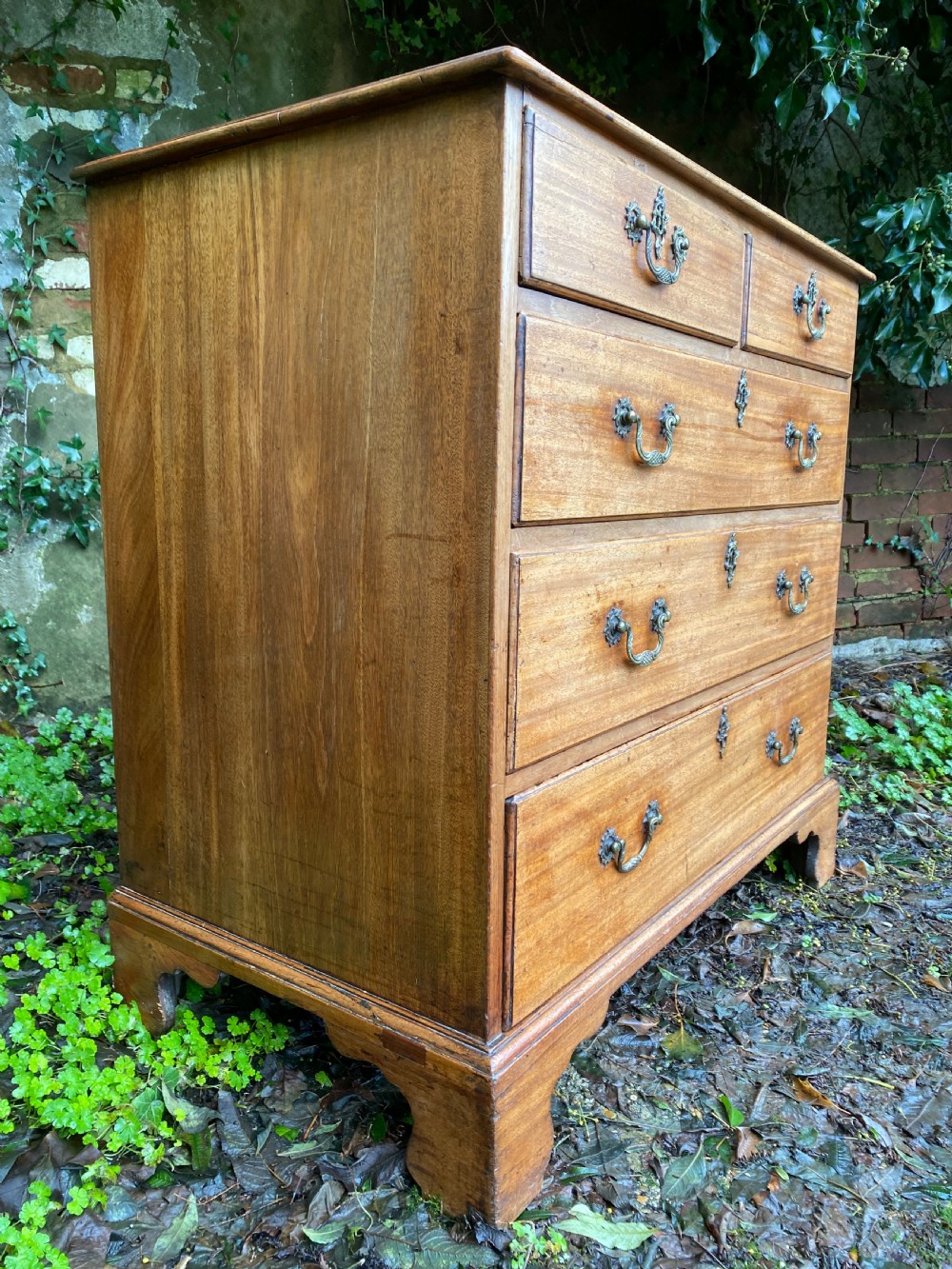 Chest of Drawers  View VIII