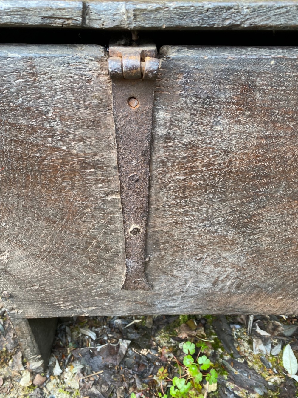 Early Oak Coffer View VII