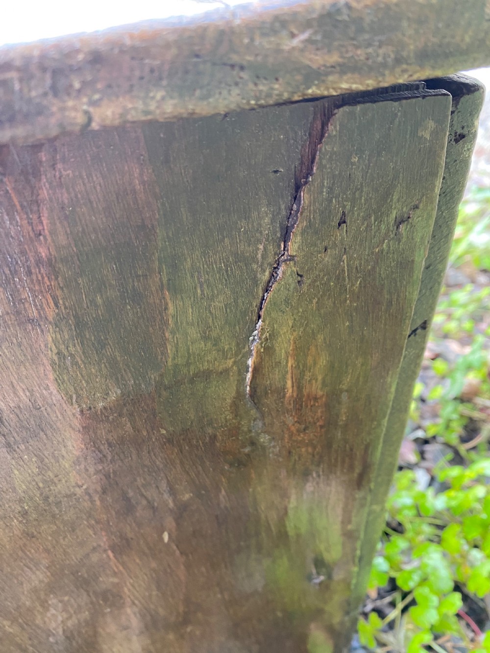 Early Oak Coffer View XII